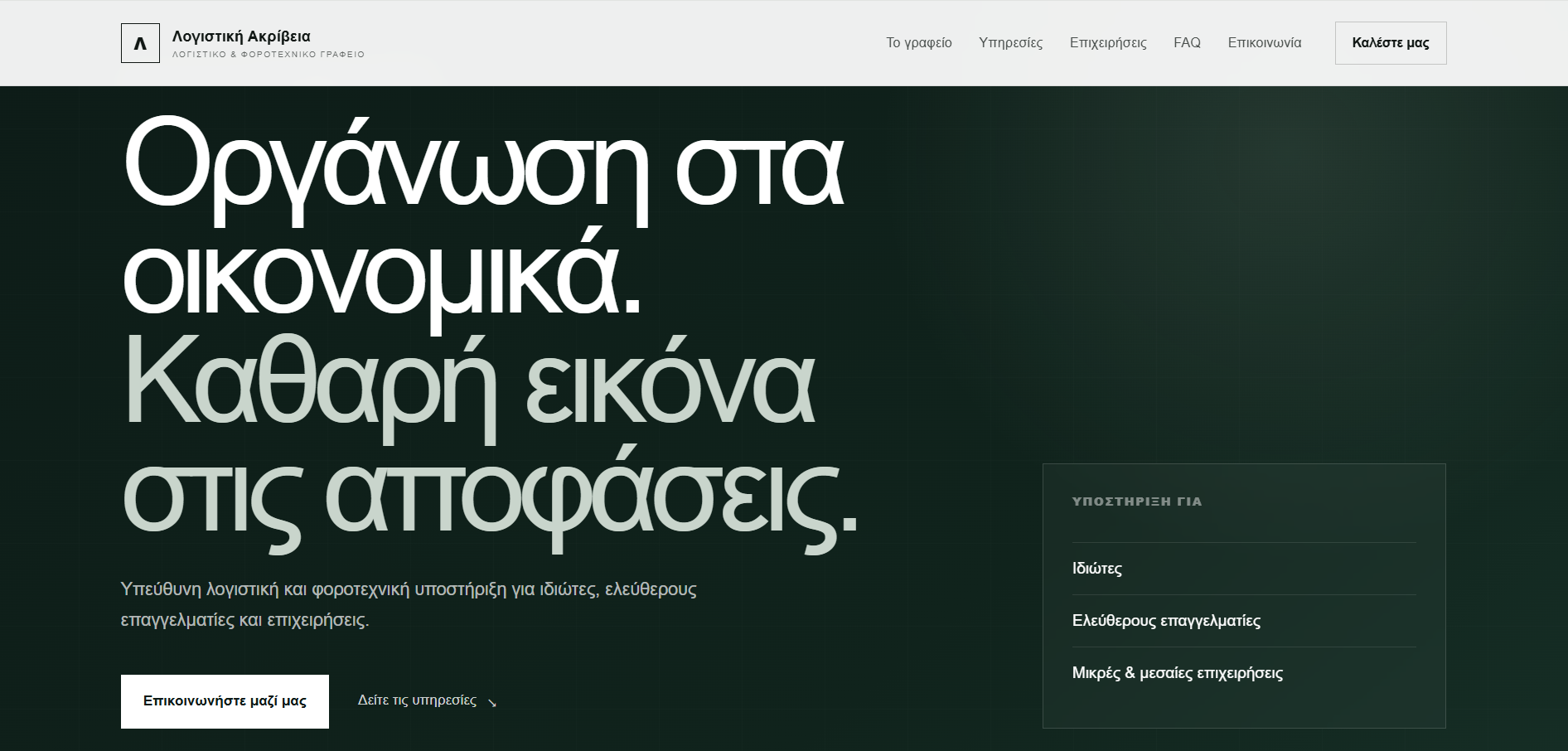 Website preview για το Accountant Premium